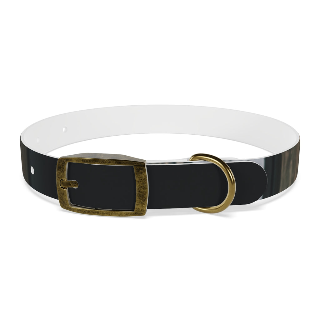 Dog Collar - Midnight Glow Style