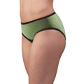 Women's Briefs with Moody Wolf Wildlife Art