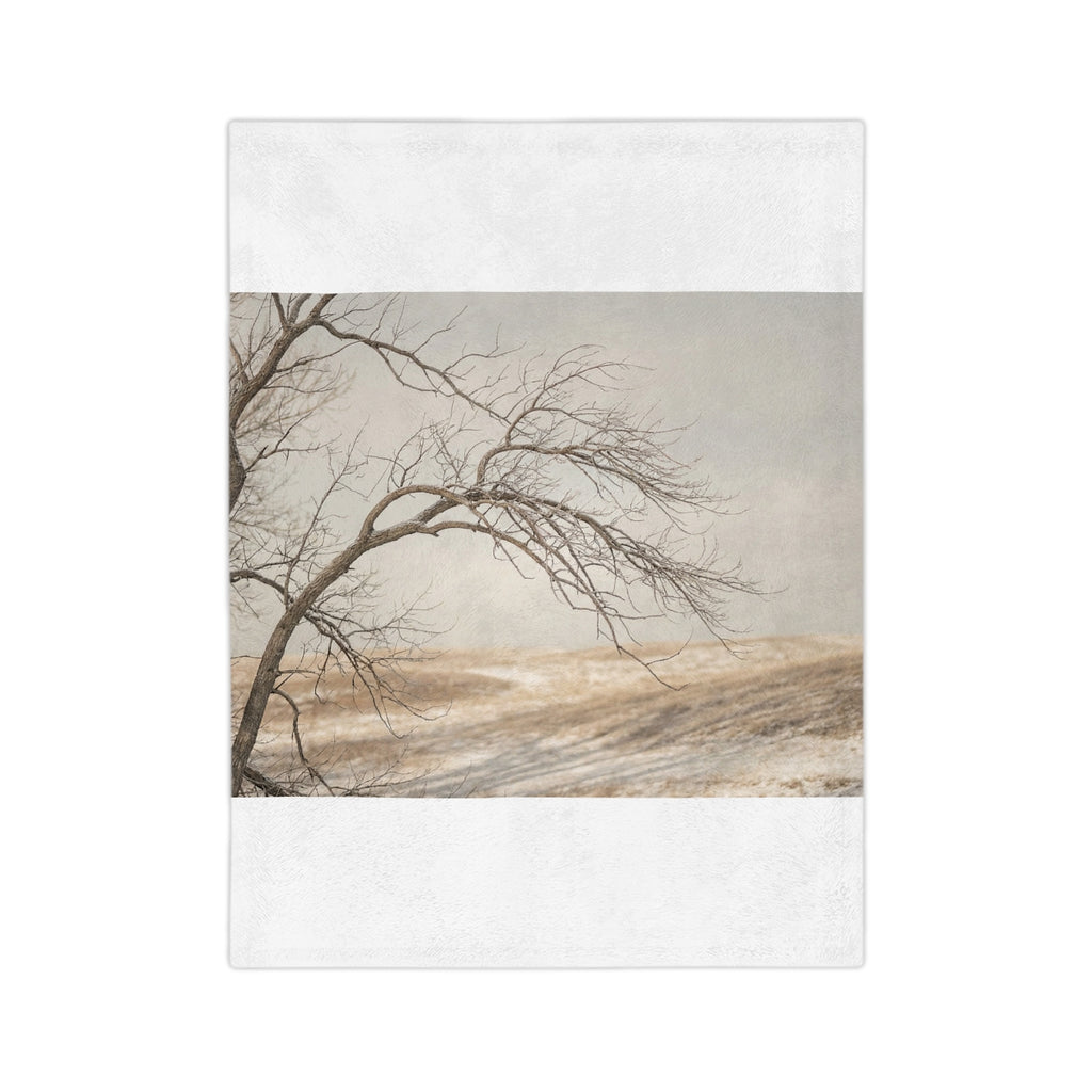 Velveteen Microfiber Blanket - Winter Branch Solitude... |...