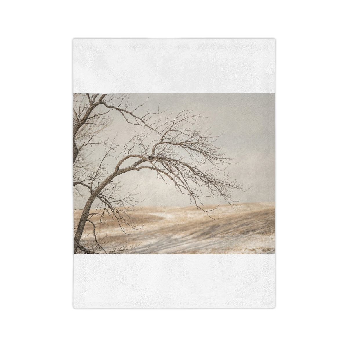 Velveteen Microfiber Blanket - Winter Branch Solitude... |...