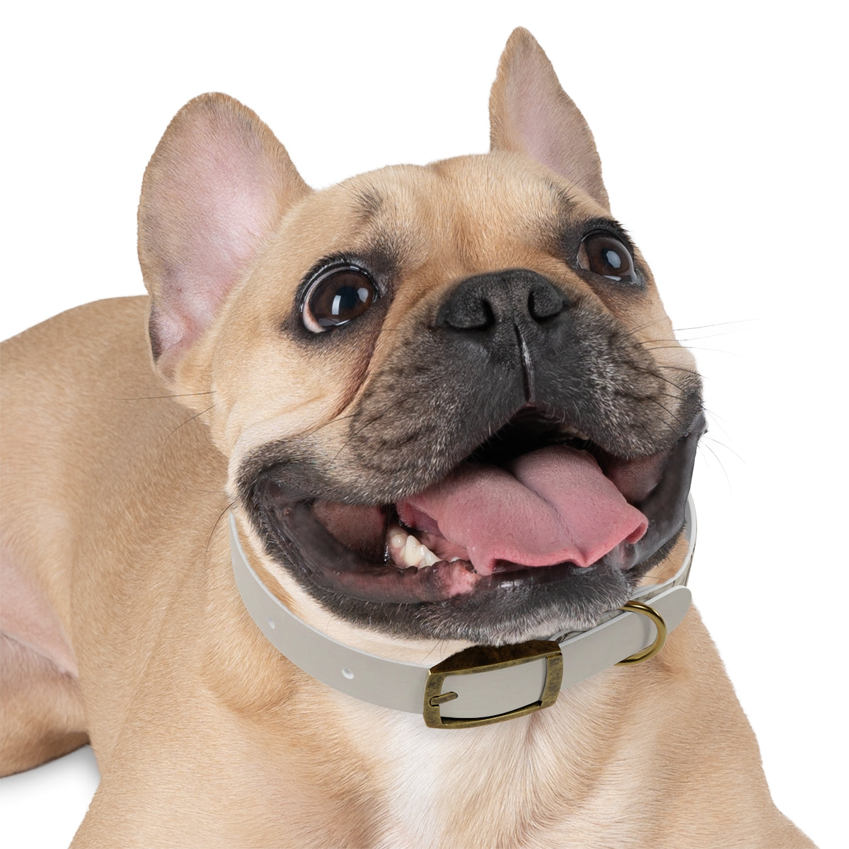 Dog Collar - Hushed Winter Landscape