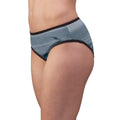 Women's Briefs with Arctic Tundra Landscape