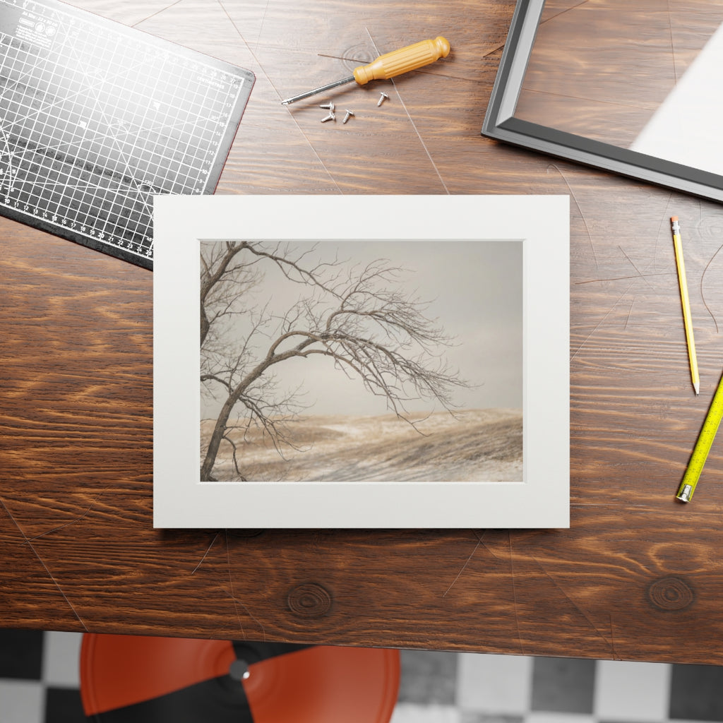 Framed Fine Art Print - Hushed Winter — Landscape