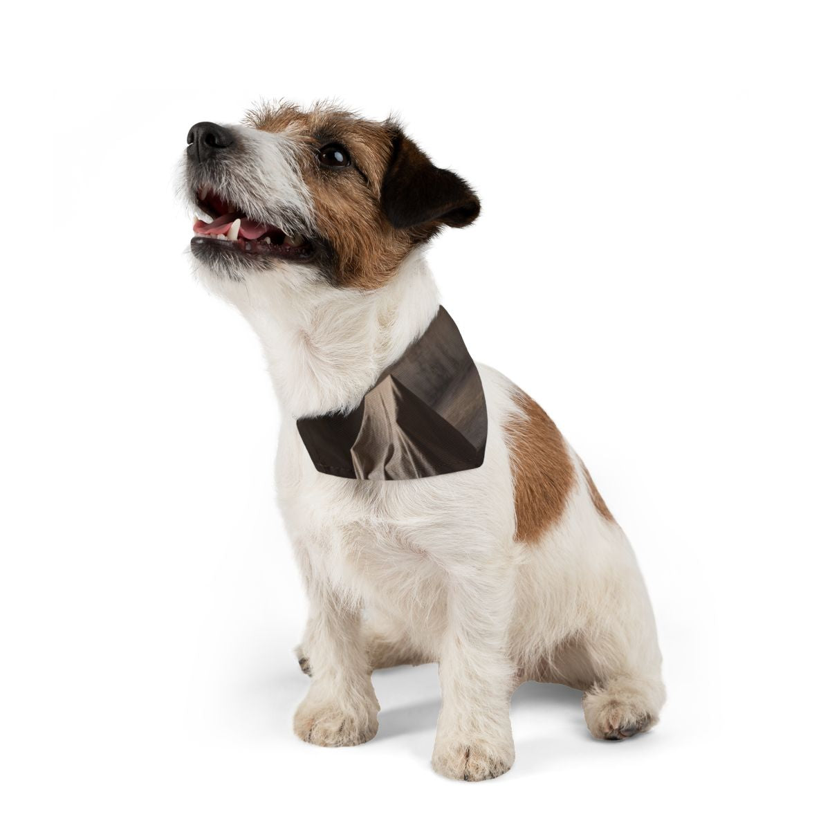Pet Bandana Collar - Conceptual Canine
