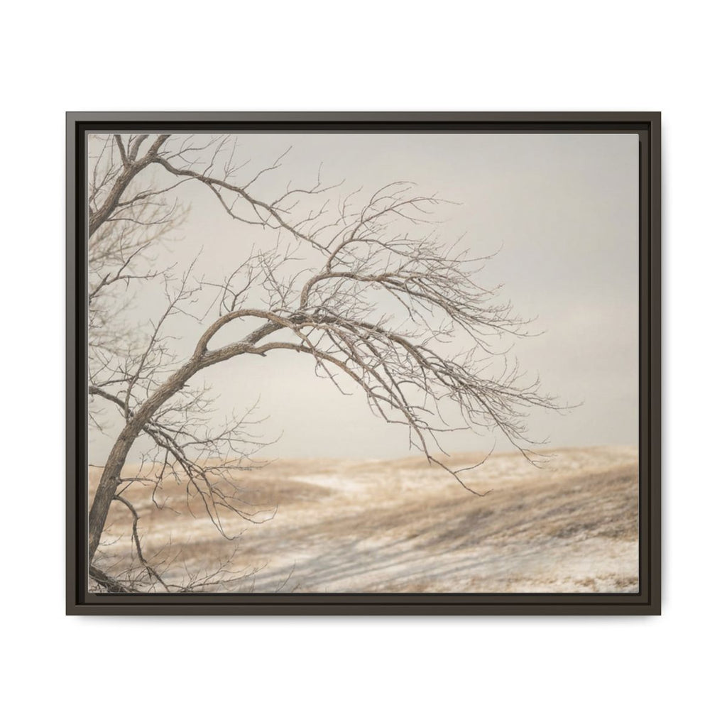 Framed Canvas Art - Minimalist Winter — Espresso / 1.25"