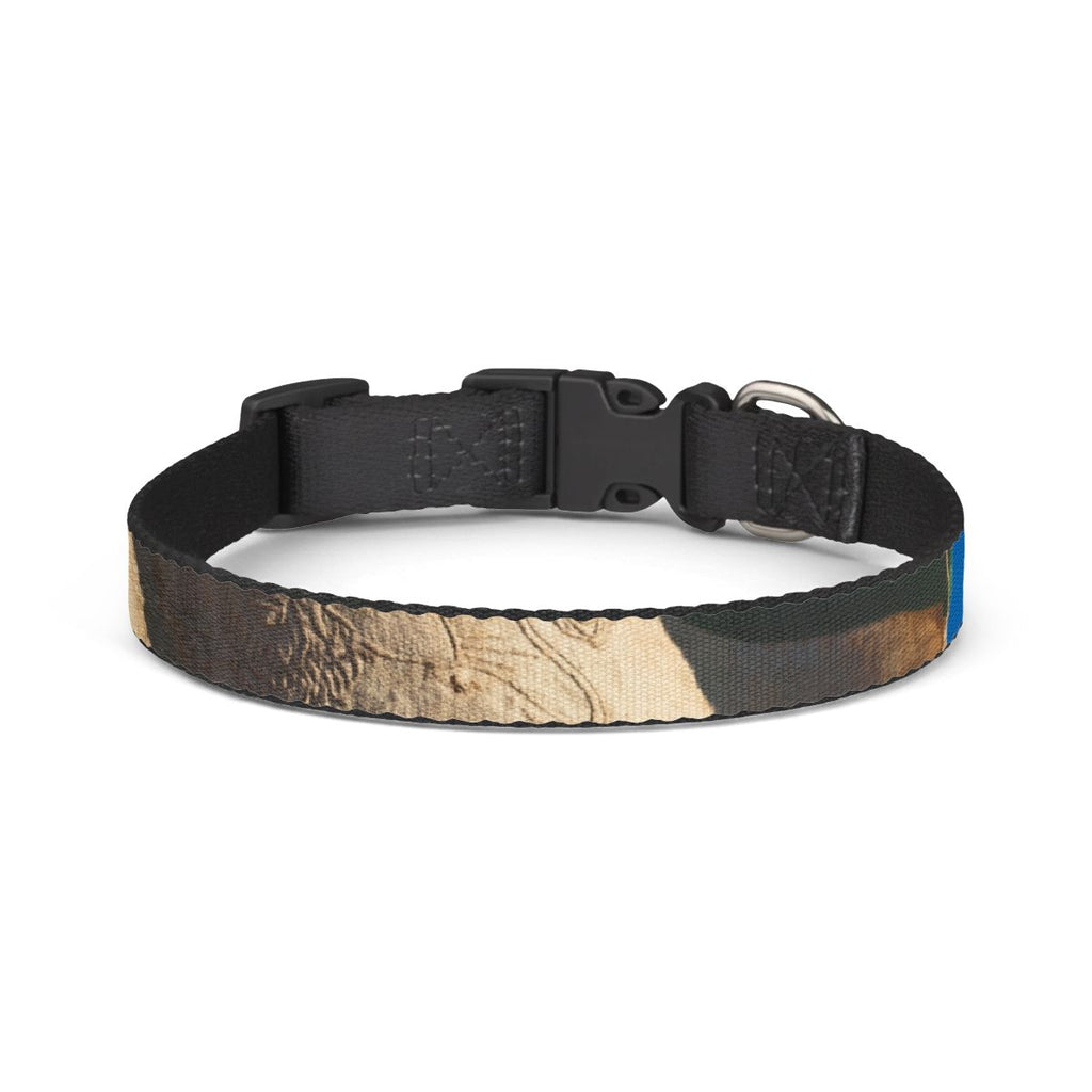 Pet Collar - Vintage Lion & Sun