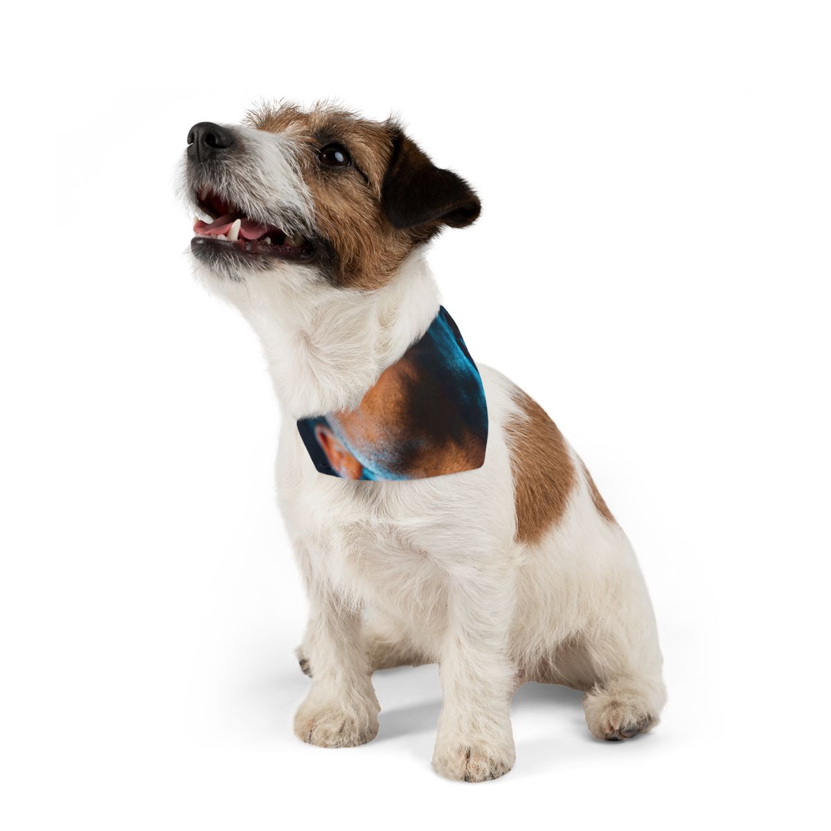Pet Bandana Collar - Cinematic Glow