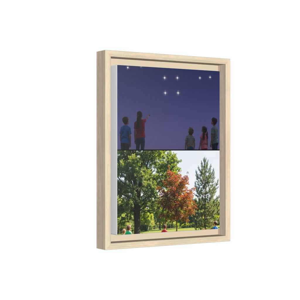 Framed Matte Canvas - Discovery — Natural / 1.25"