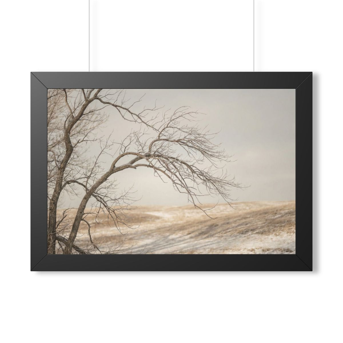 Framed Horizontal Poster - Winter Branch Solitude Landscape...