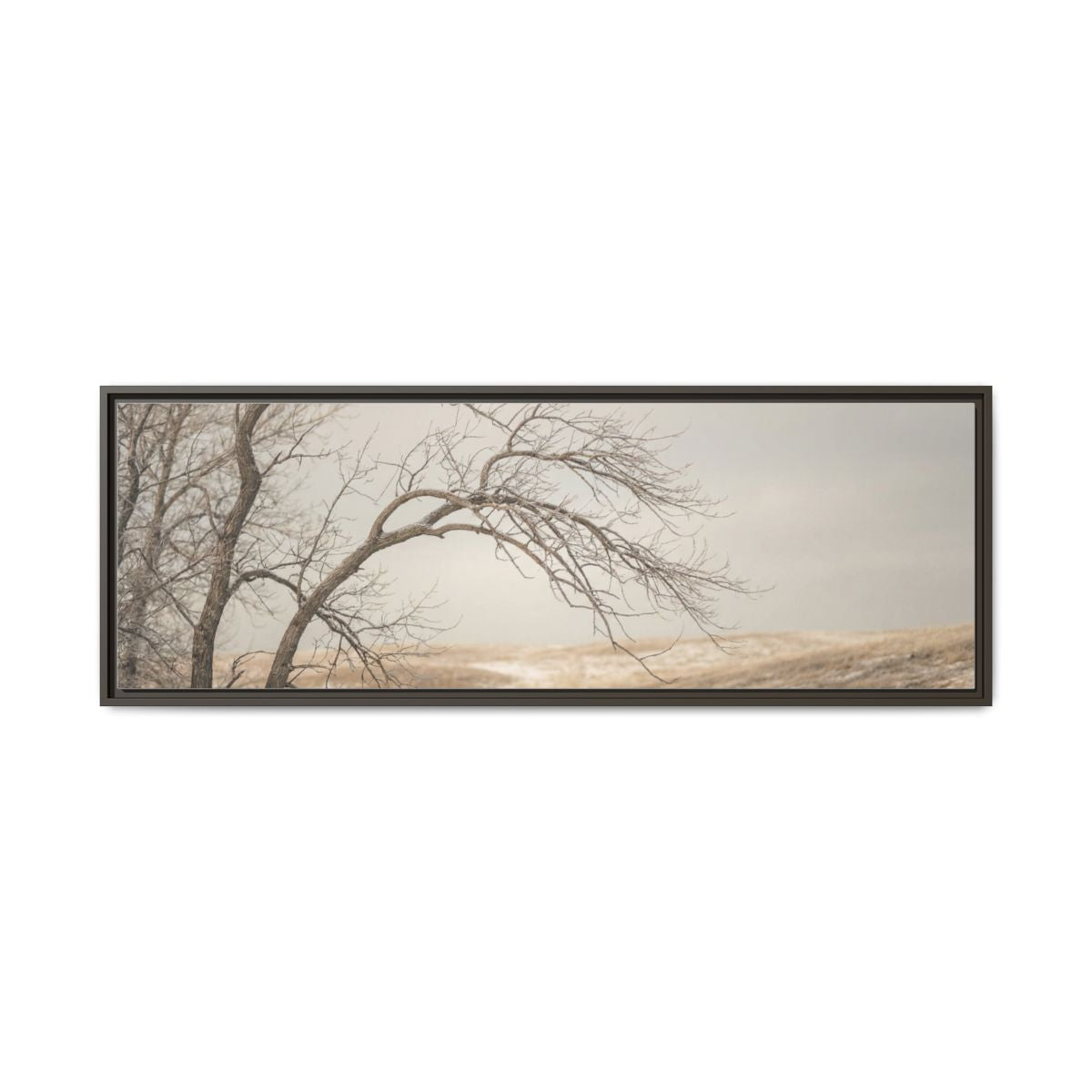 Framed Canvas Art - Minimalist Winter — Espresso / 1.25"