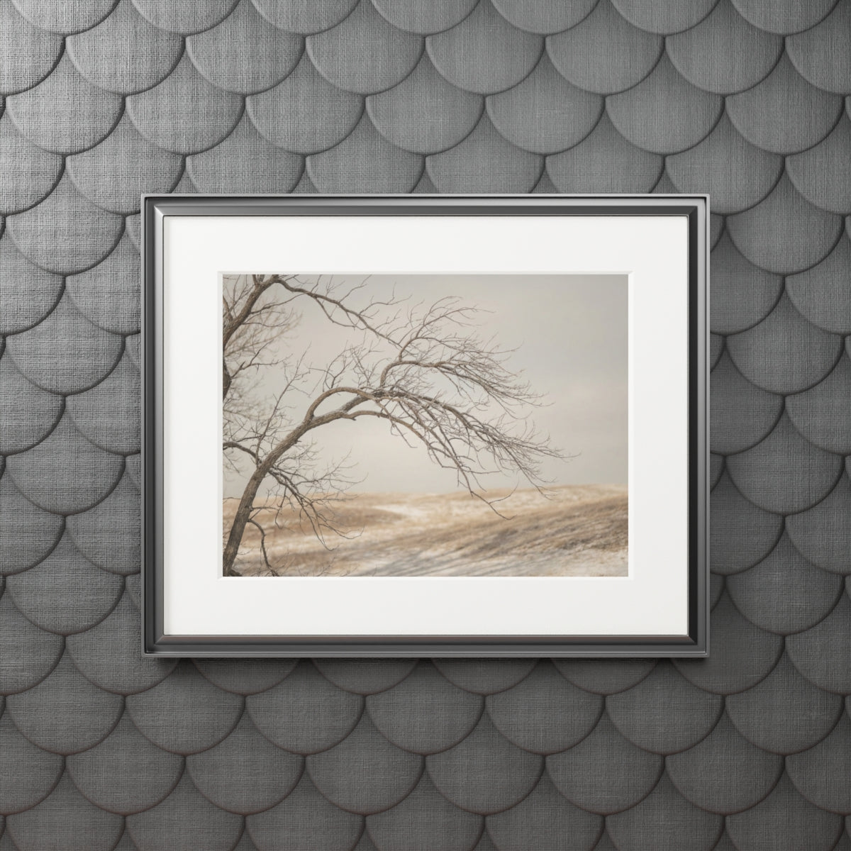 Framed Fine Art Print - Hushed Winter — Landscape