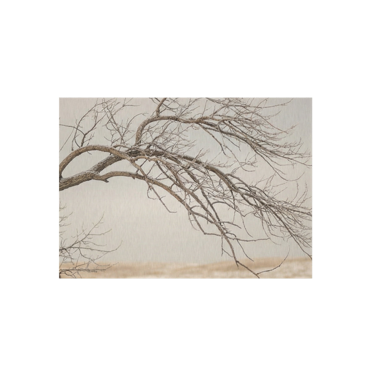 Outdoor Rug - Serene Minimalist Nature