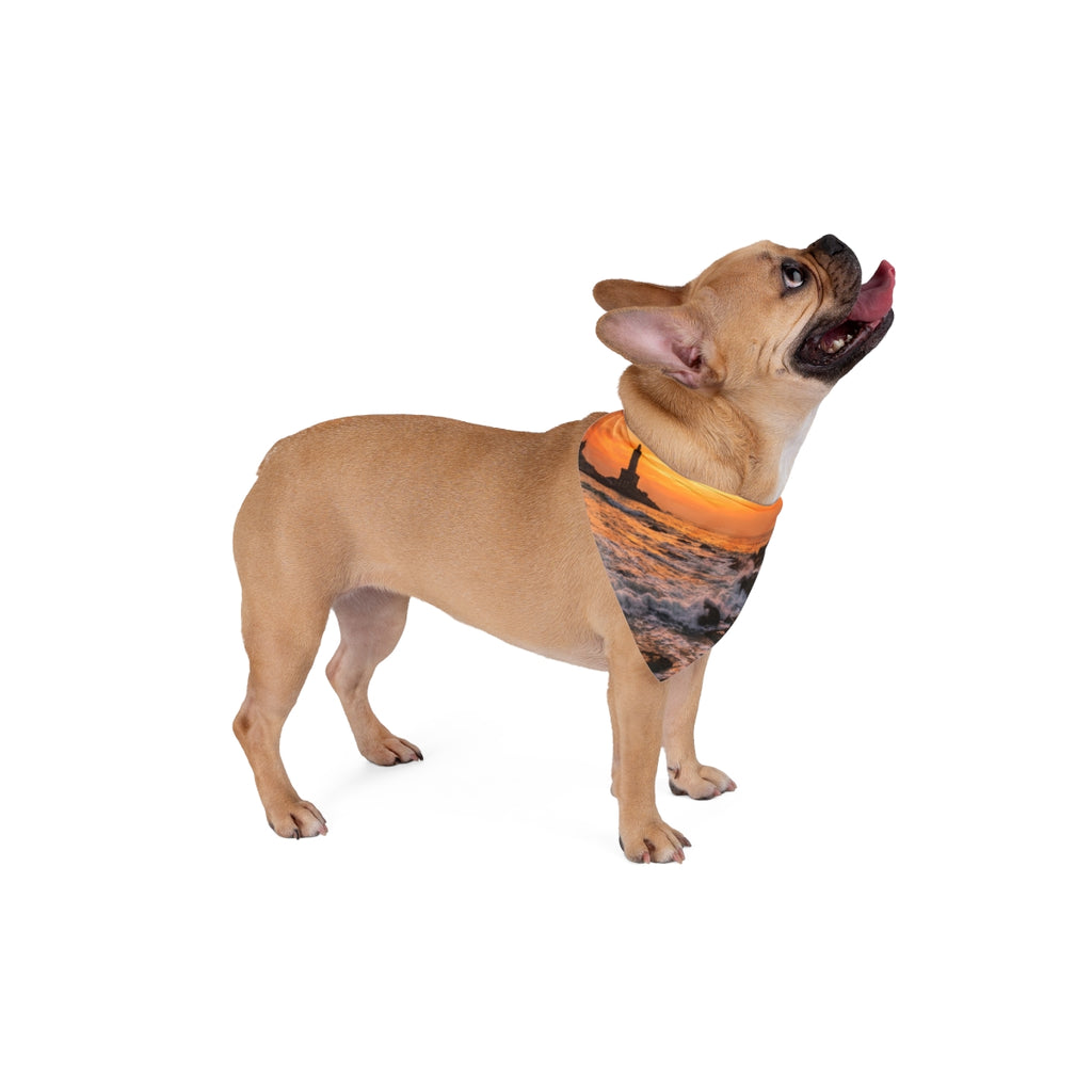 Pet Bandana - Golden Coastal Horizon