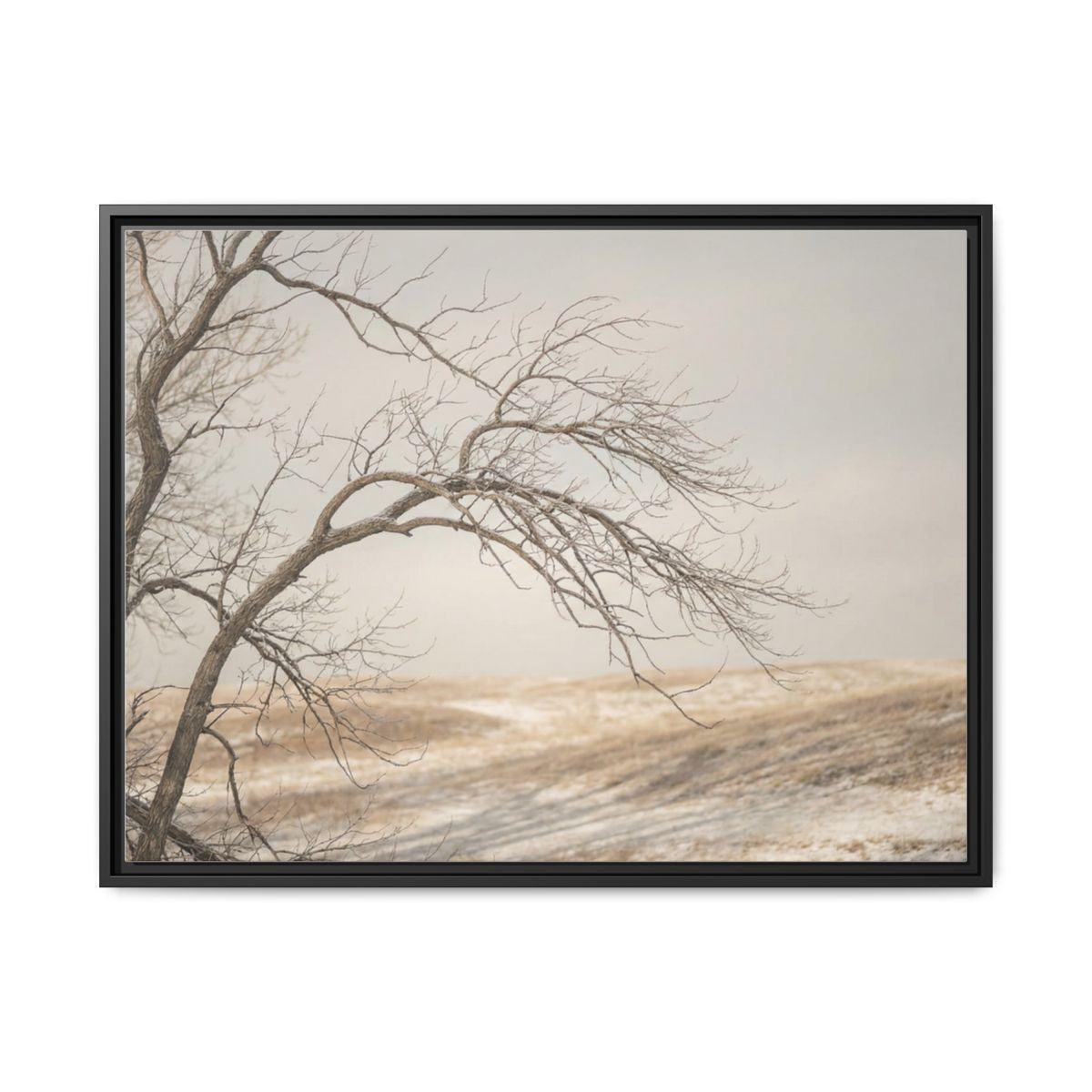Framed Canvas Art - Minimalist Winter — Black / 1.25"