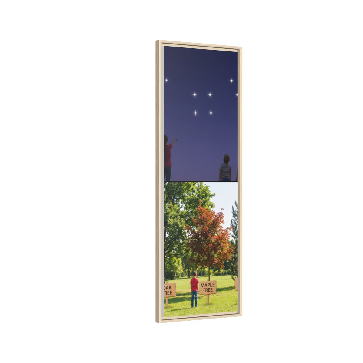 Framed Matte Canvas - Discovery — Natural / 1.25"