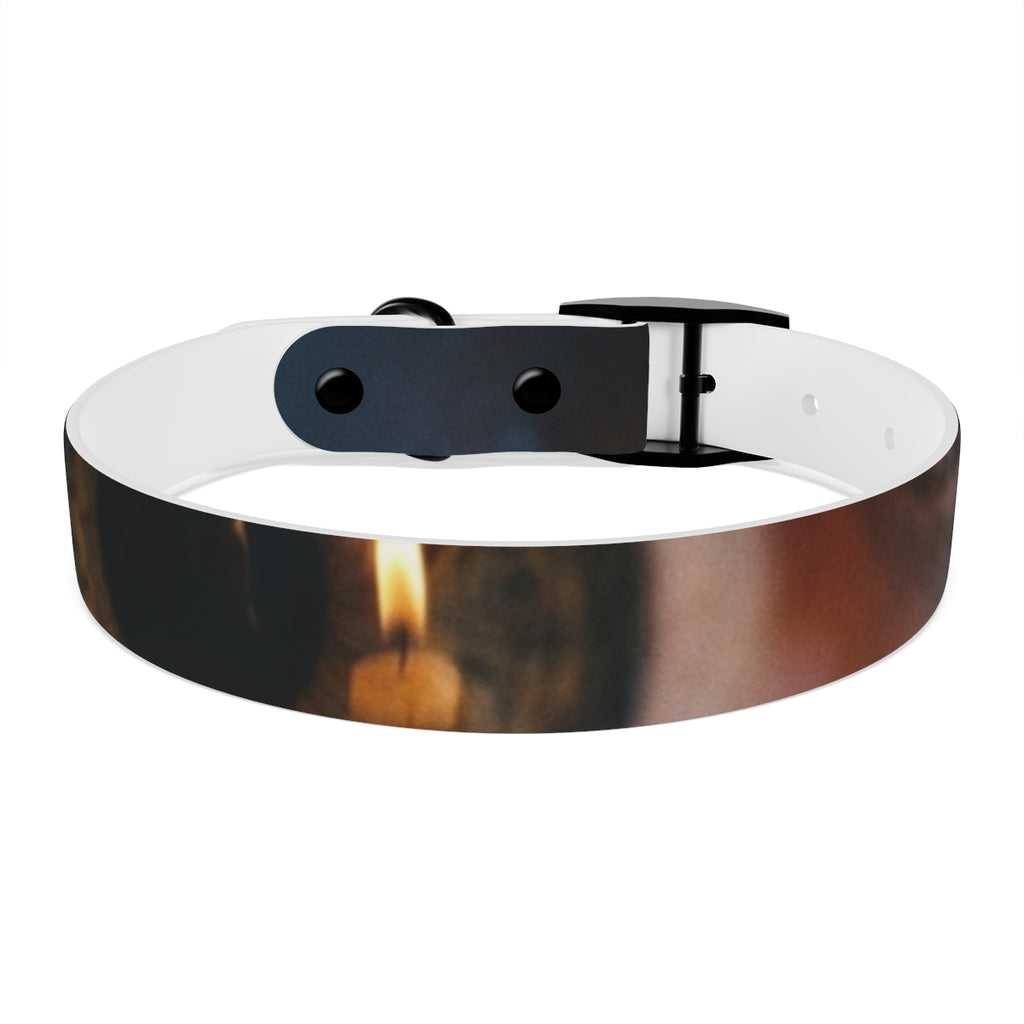 Dog Collar - Midnight Spark