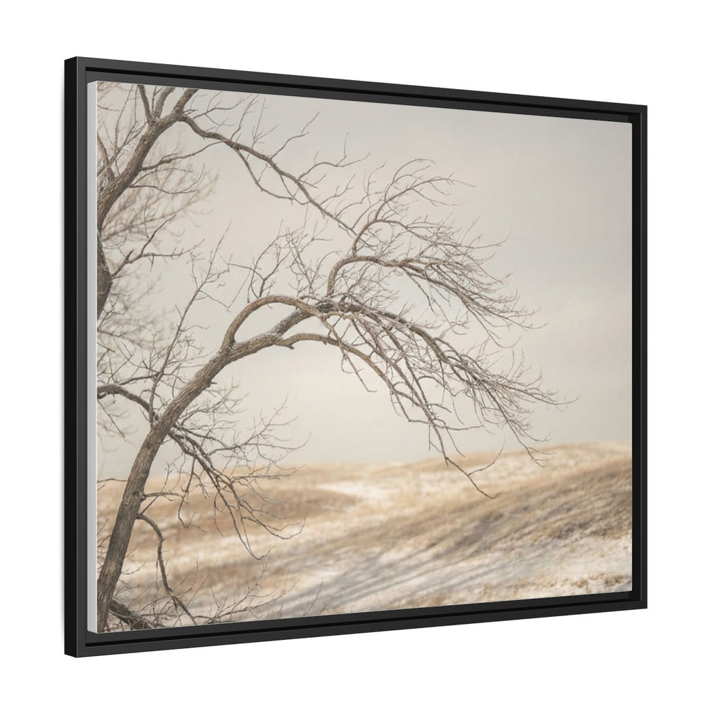 Framed Canvas Art - Minimalist Winter — Black / 1.25"