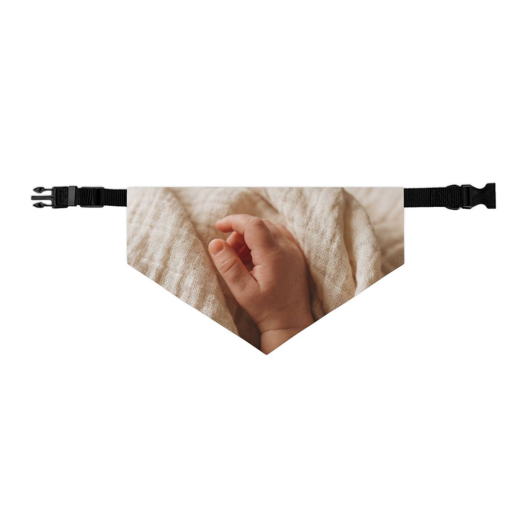 Pet Bandana Collar - Gentle Walks