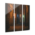 Acrylic Prints Triptych - Midnight Shadows — Portrait |...