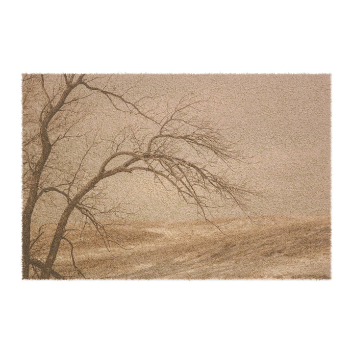Felpudo: colina invernal serena