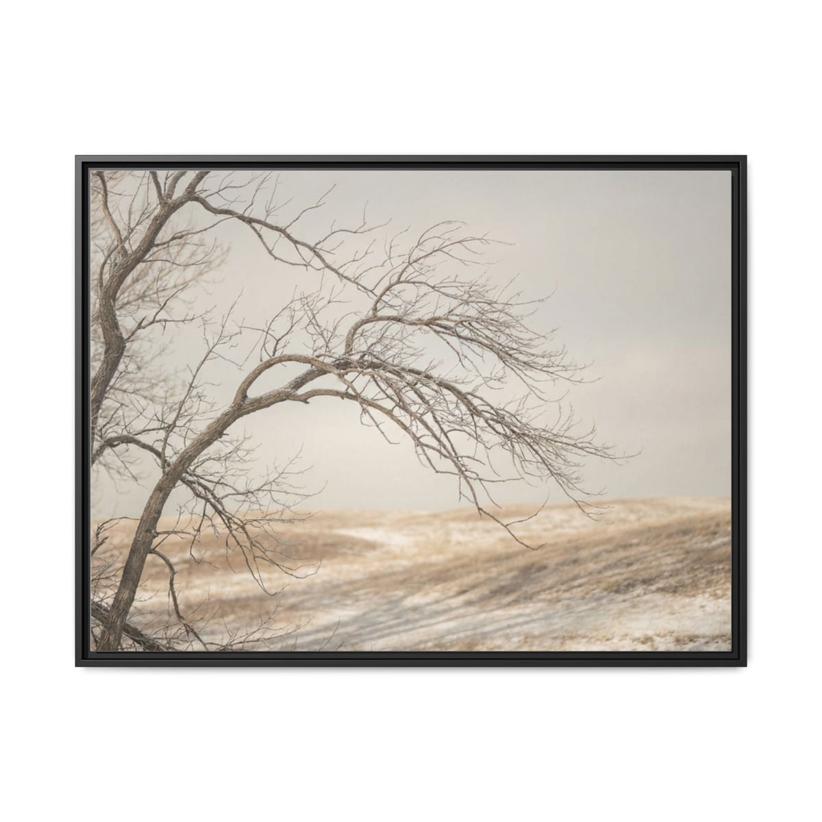 Framed Canvas Art - Minimalist Winter — Black / 1.25"