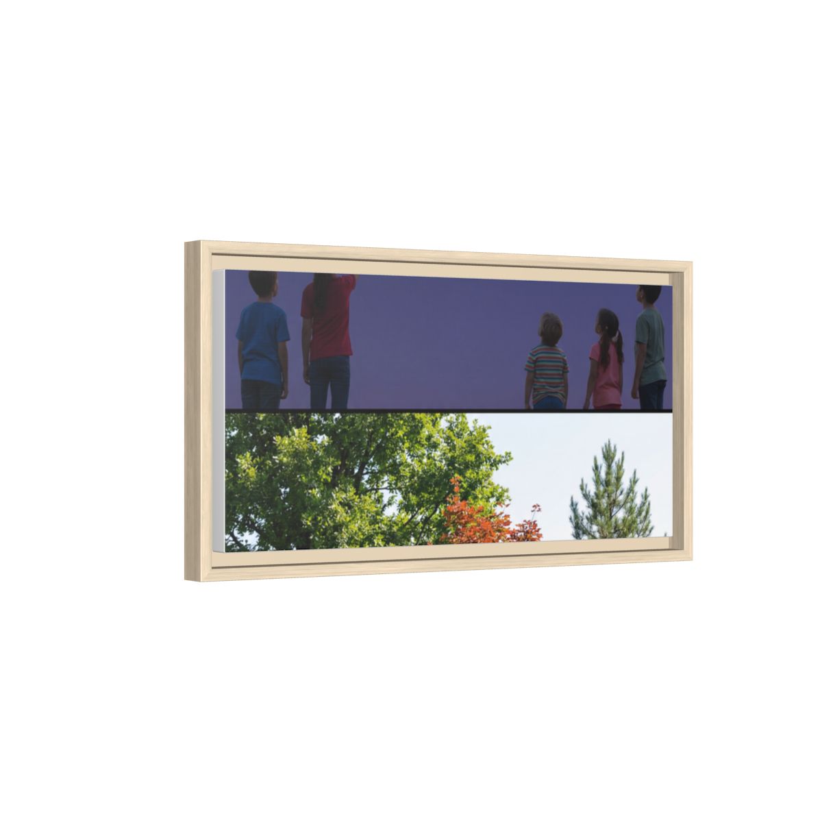 Framed Matte Canvas - Wilderness Gallery