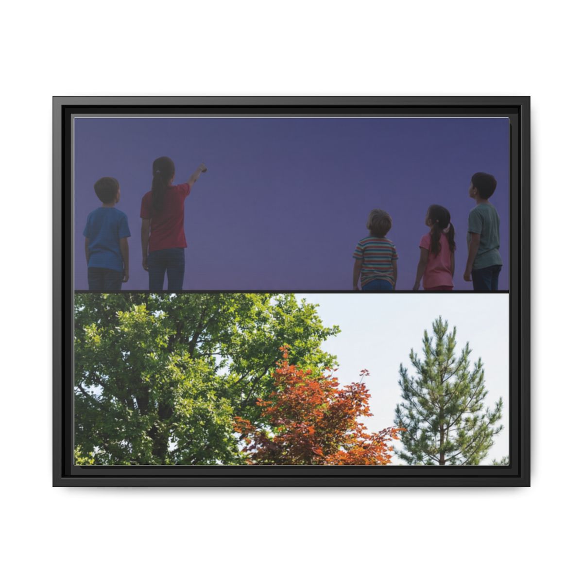 Framed Matte Canvas - Wilderness Gallery