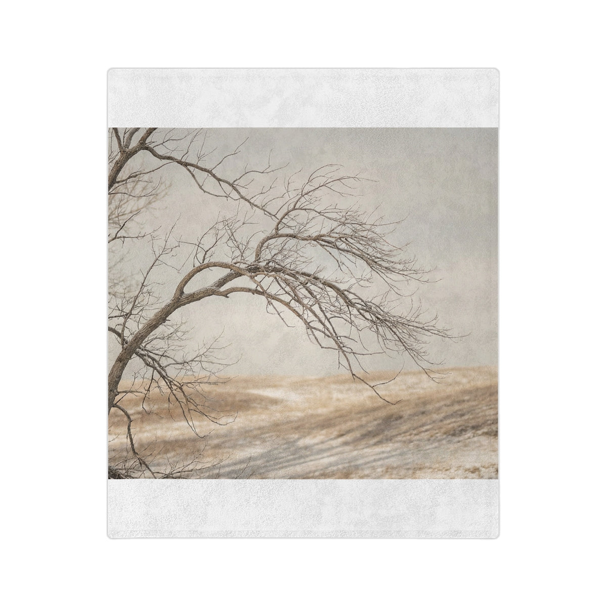 Velveteen Microfiber Blanket - Winter Branch Solitude... |...