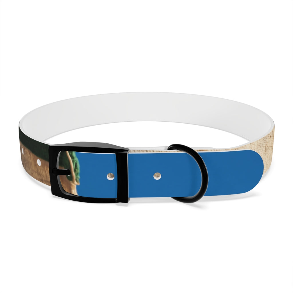 Dog Collar - Heritage Pride