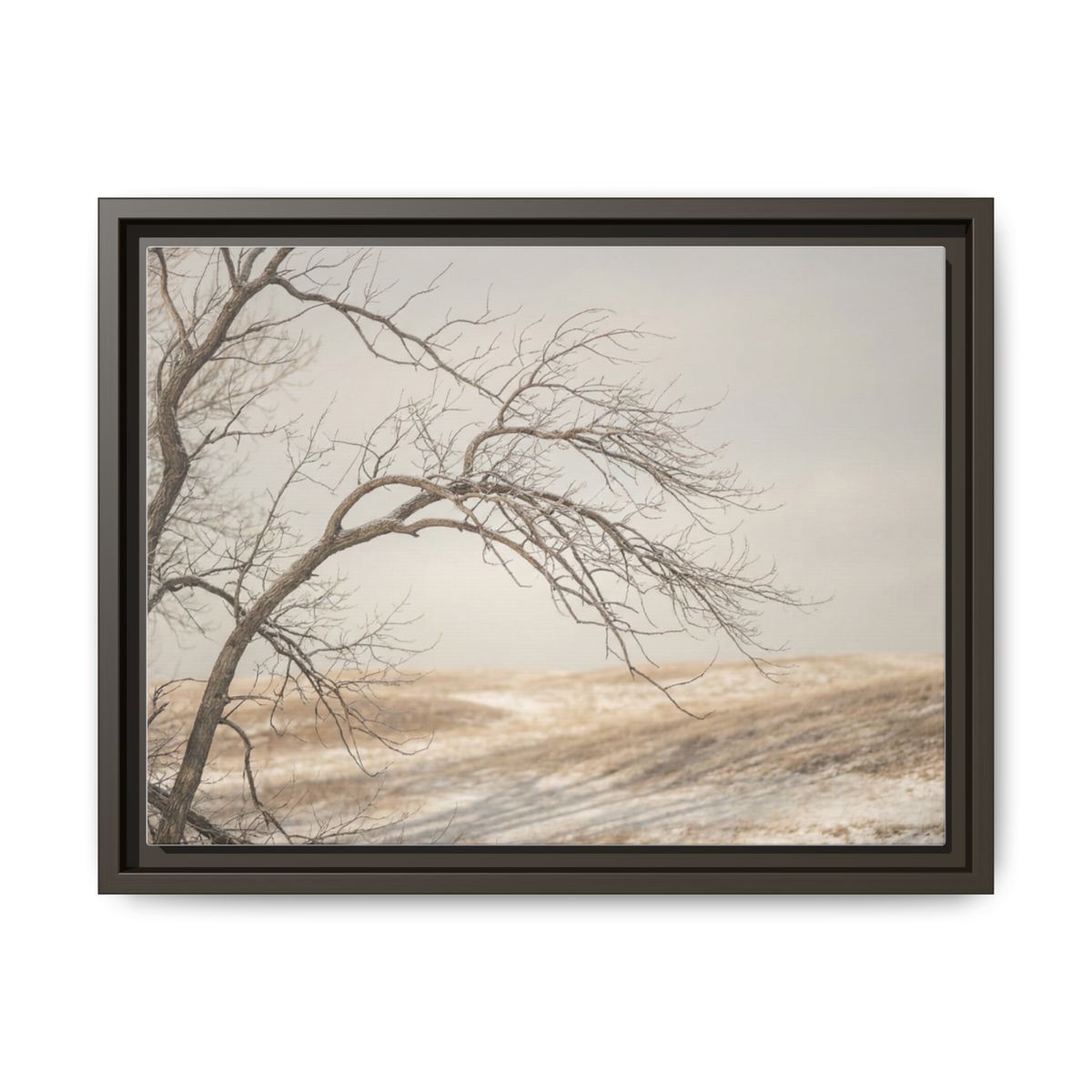 Framed Canvas Art - Minimalist Winter — Espresso / 1.25"