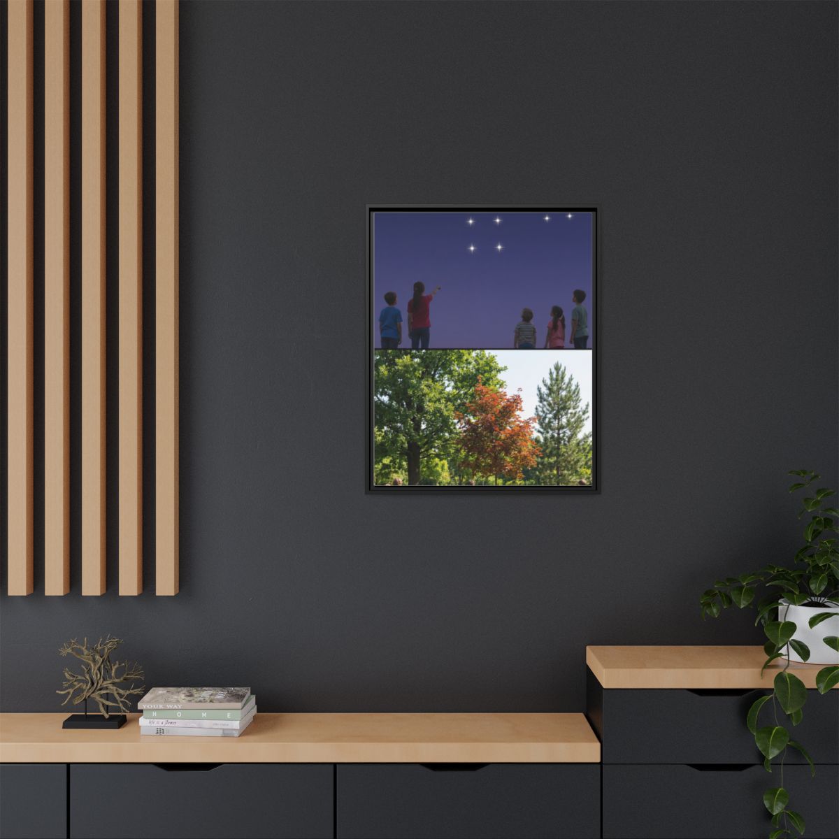 Framed Matte Canvas - Discovery — Black / 1.25"