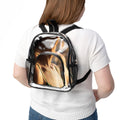 Clear Stadium Backpack - Sunlit Event Style
