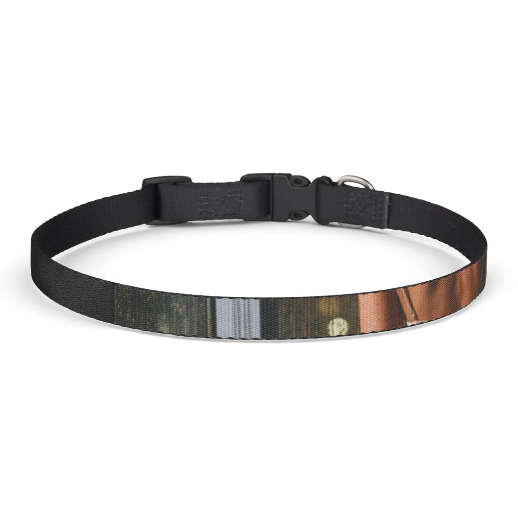 Pet Collar - Midnight Aesthetic Vibe